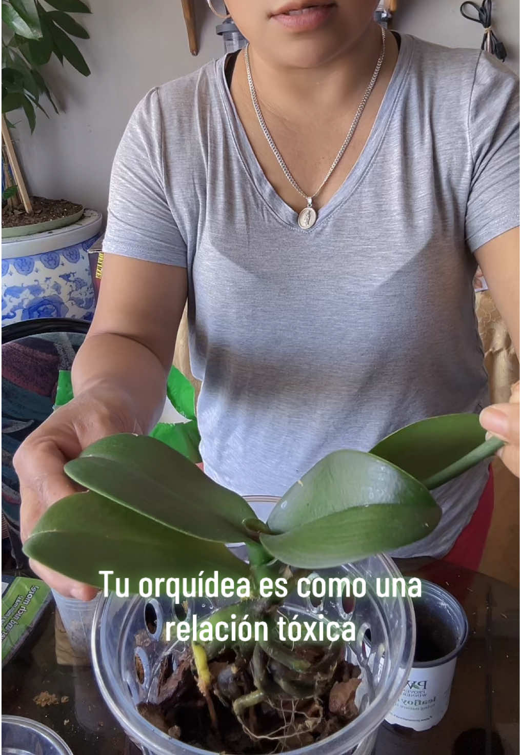@aprendeconmary2