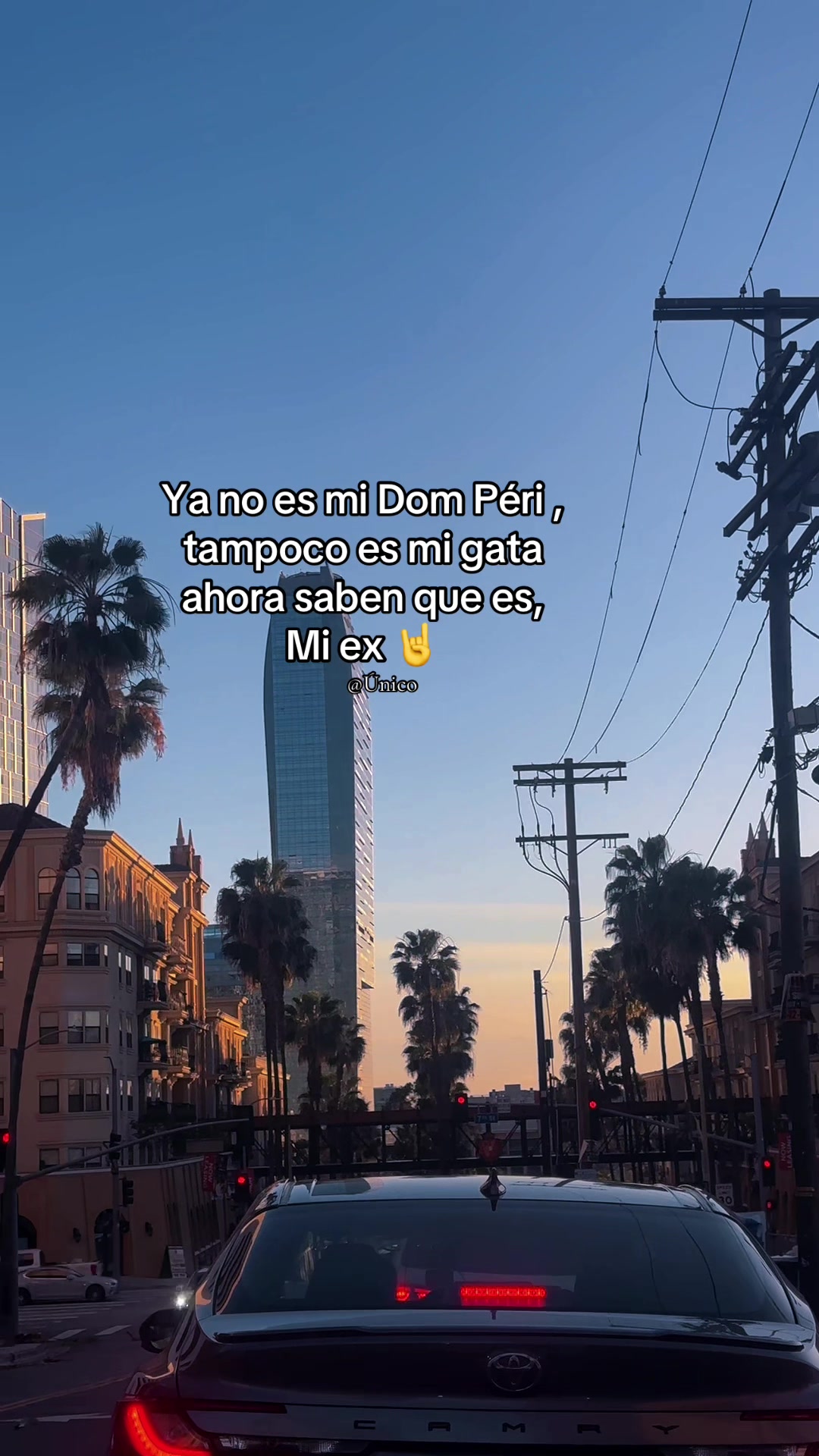 @Ú𝚗𝚒𝚌𝚘 ✔︎