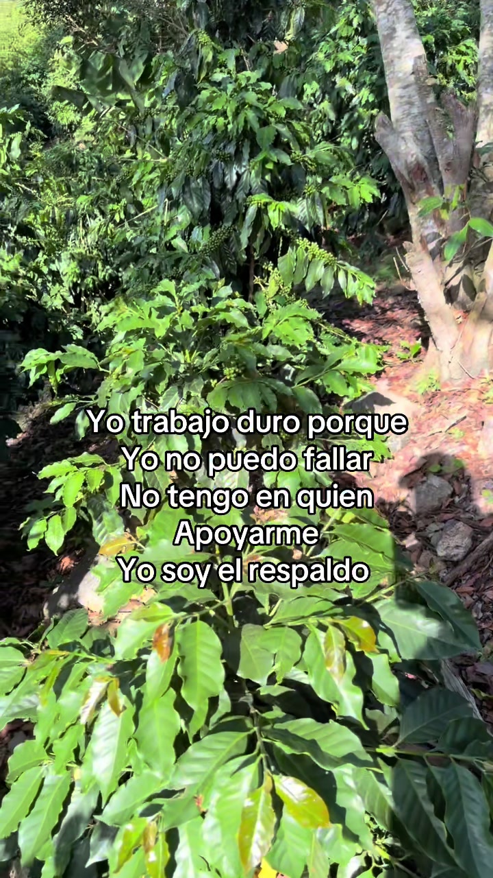 @Hernandez.