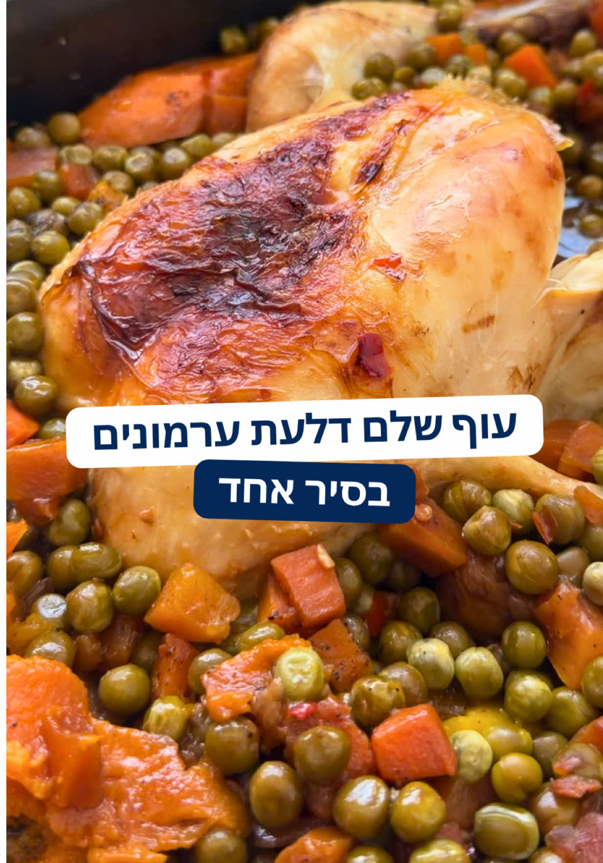 @רובי מיכאל Rubi Michael