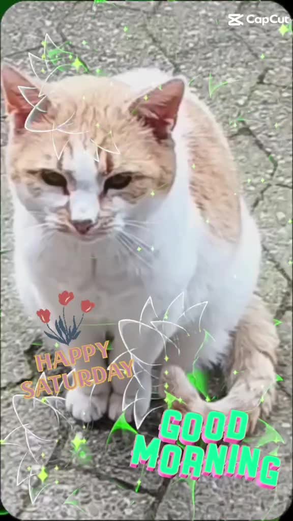 @Babsi