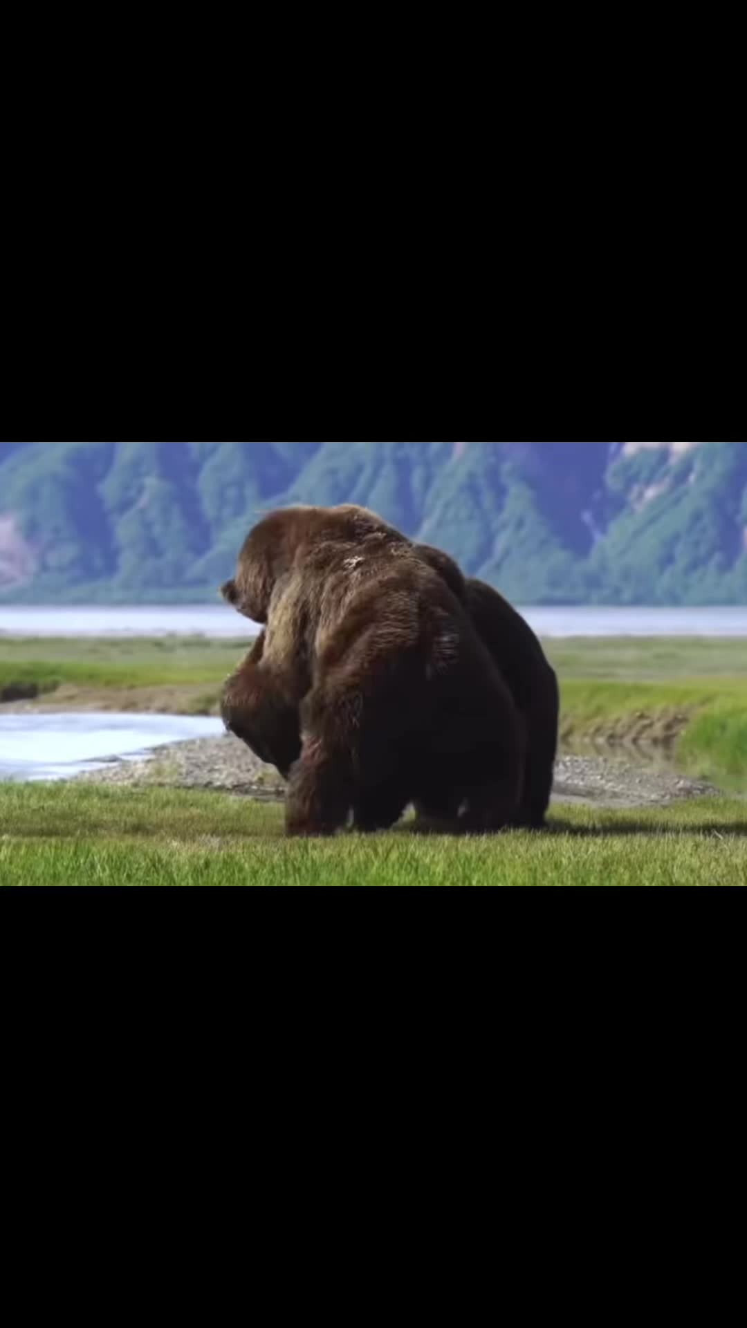 @bigplasma