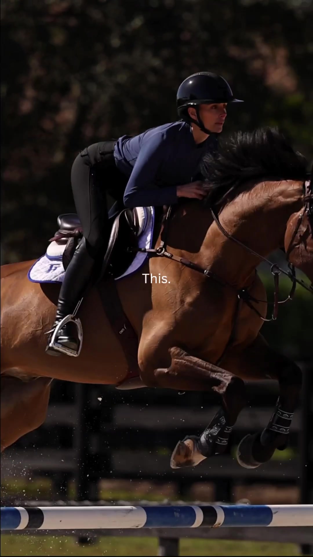 @Equisite Elements of Style