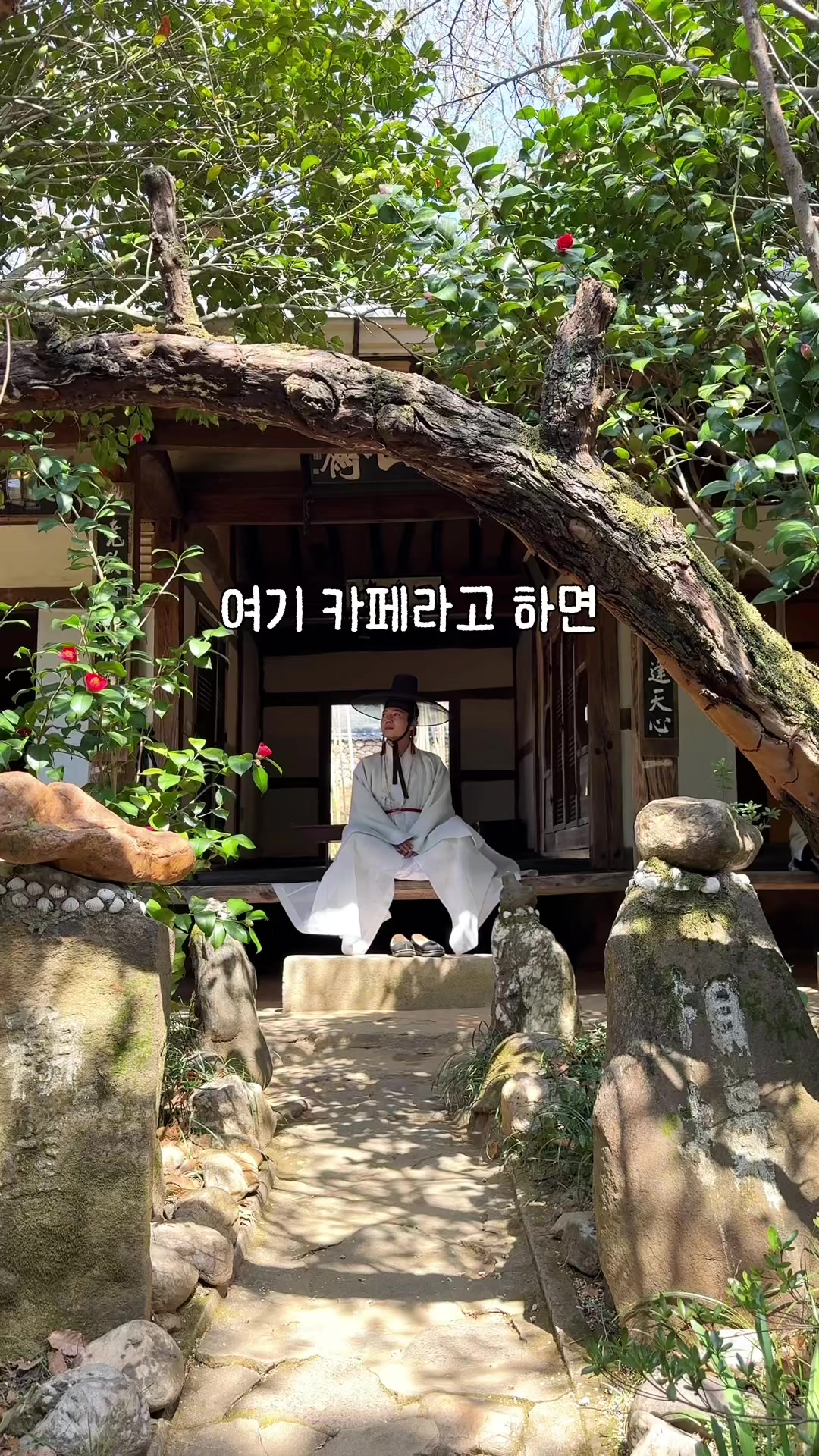 @traveler_jin