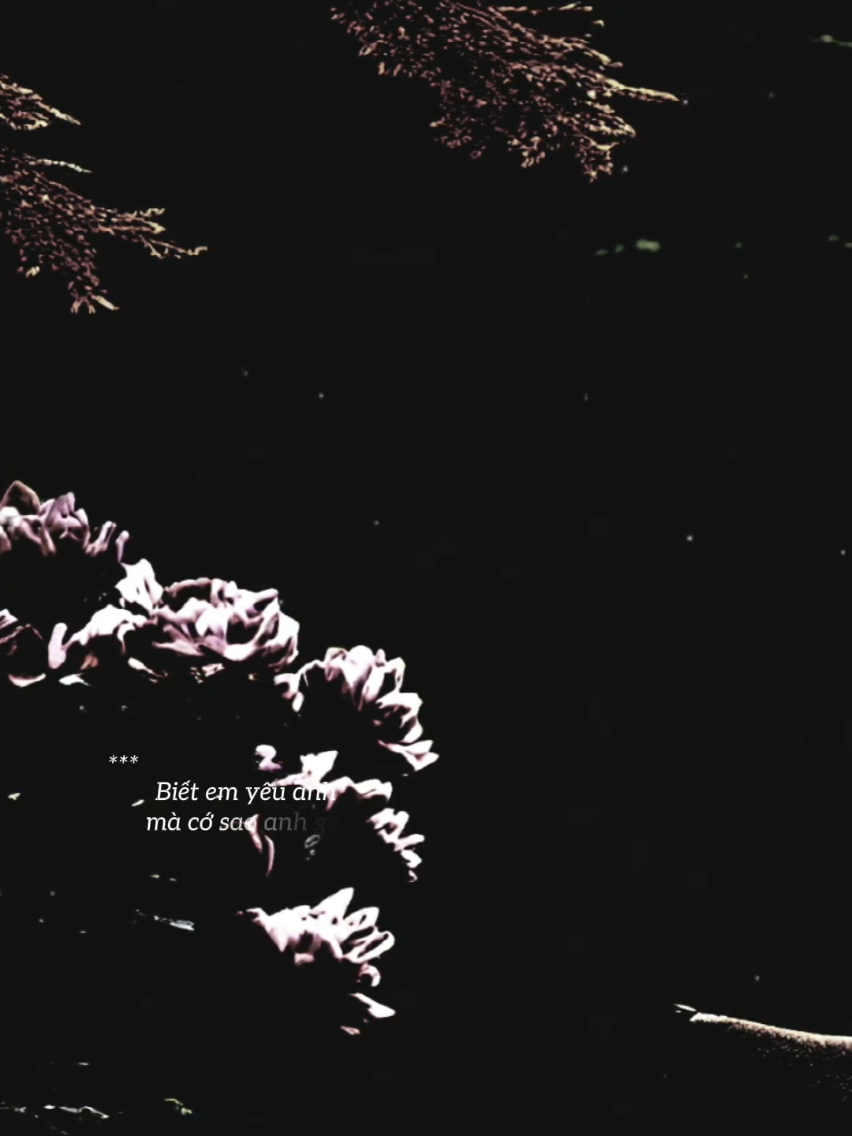 @𝐓𝐫ạ𝐦𝐌𝐮𝐬𝐢𝐜🎧