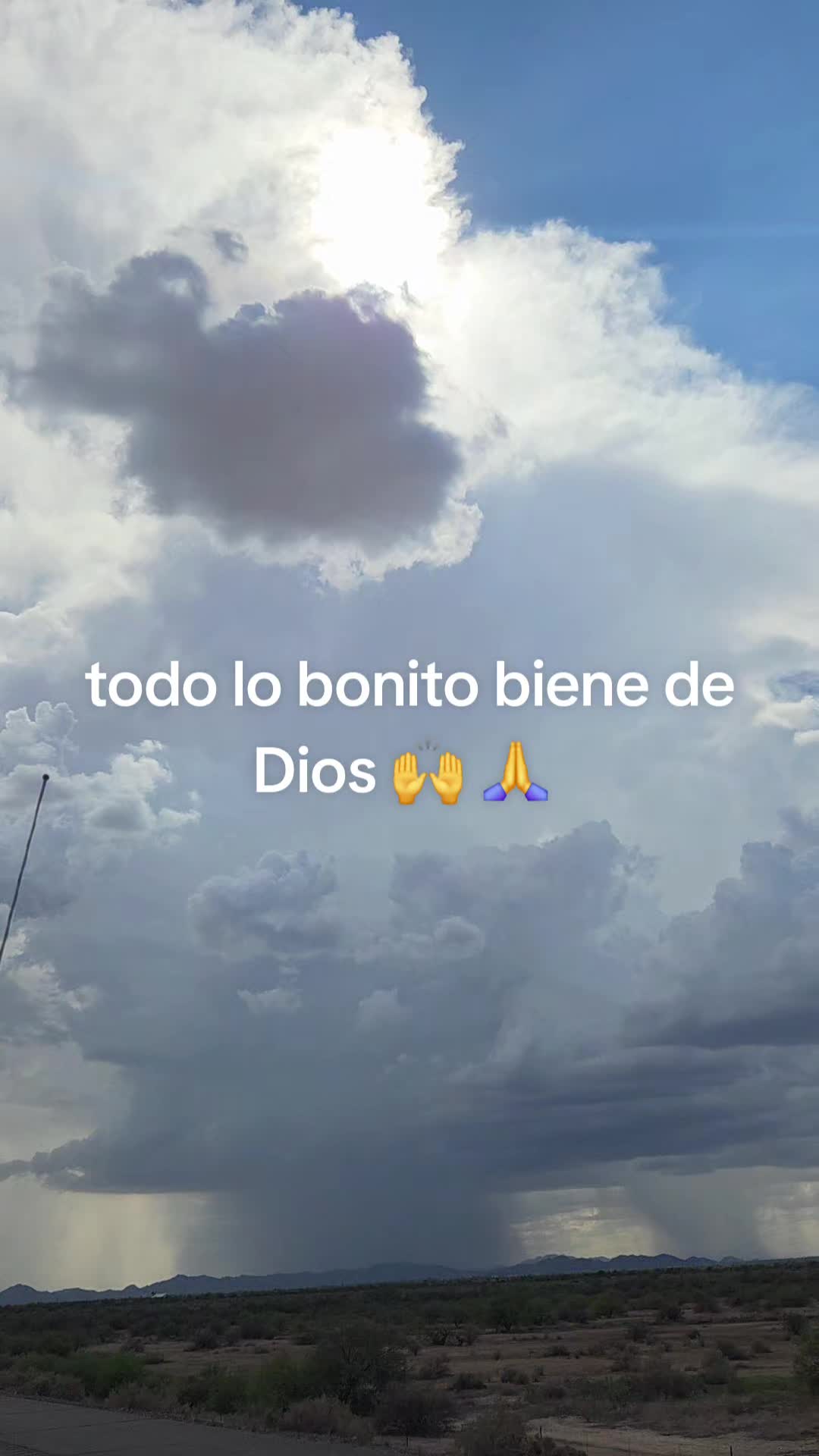 @Maribel 🌻