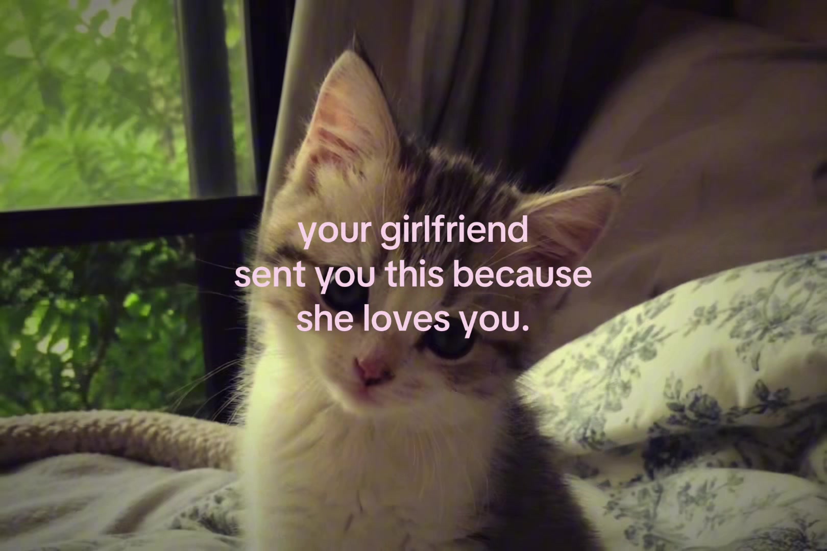 @sxalenz