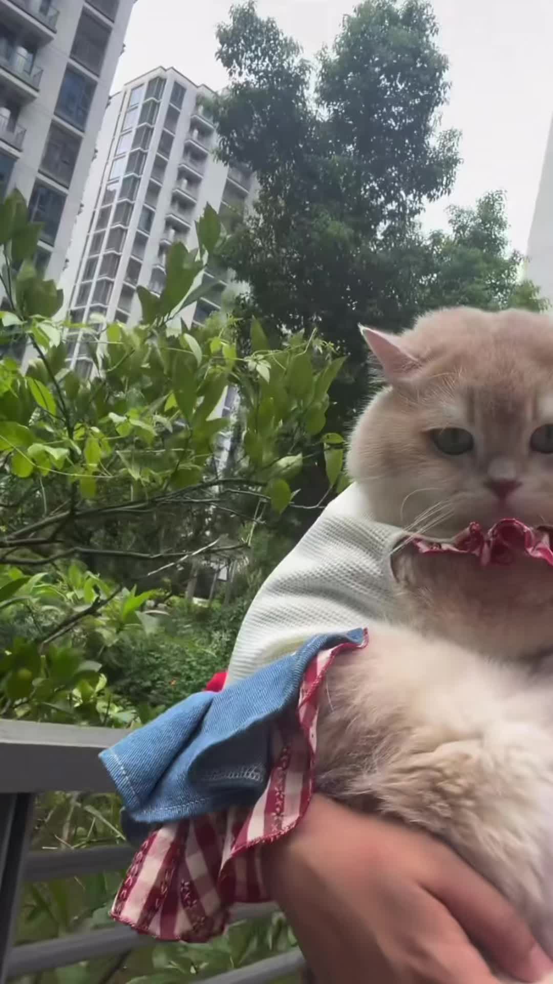 @My Daily Dose of Aww