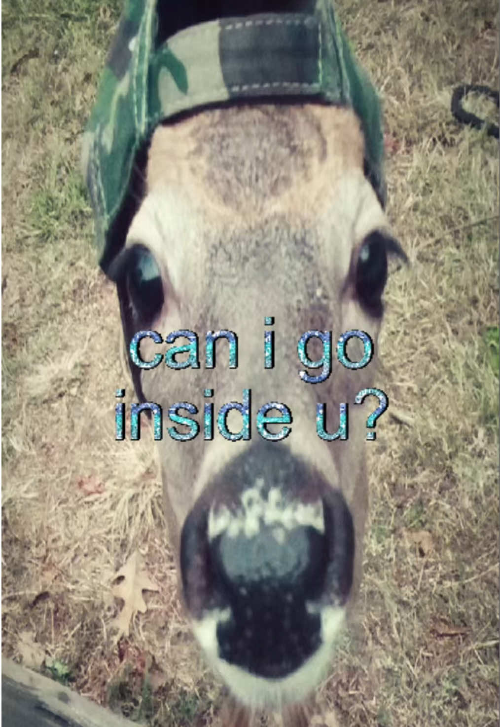@livinlikedis