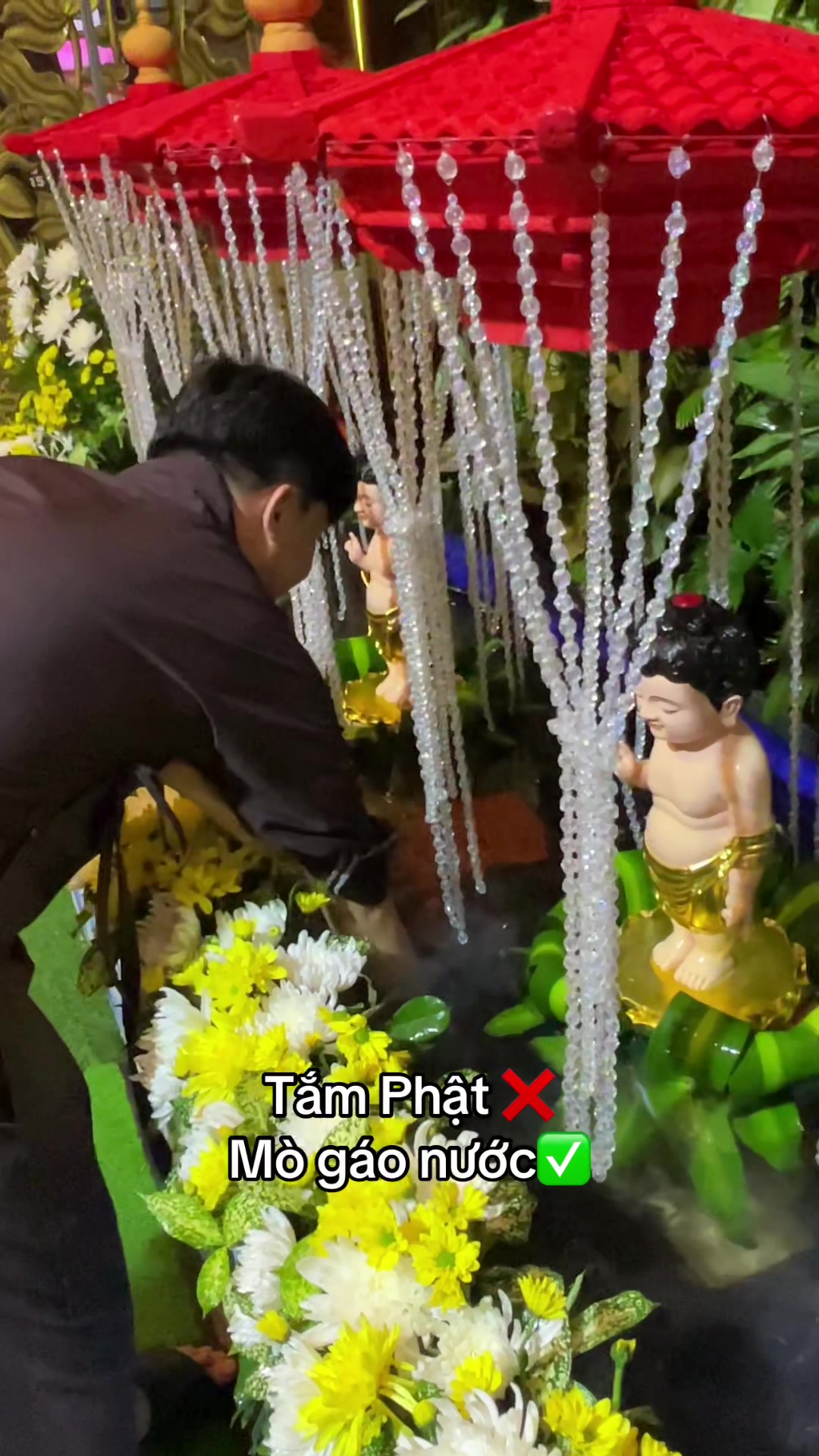 @Kh&aacute;nh h&iacute; qu&ecirc; Bạc Li&ecirc;u