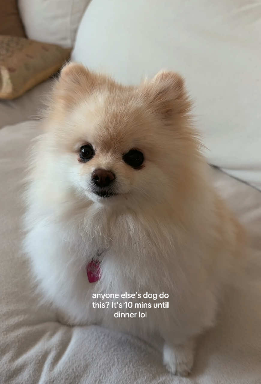 @Heidi