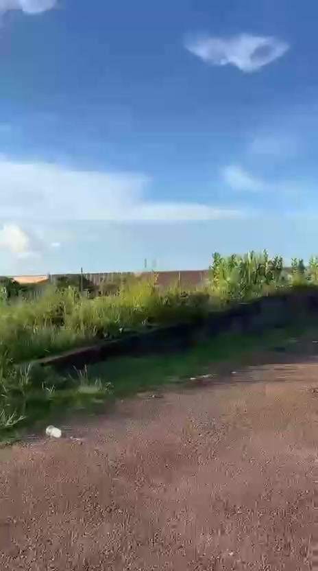 @Luciana Maeda