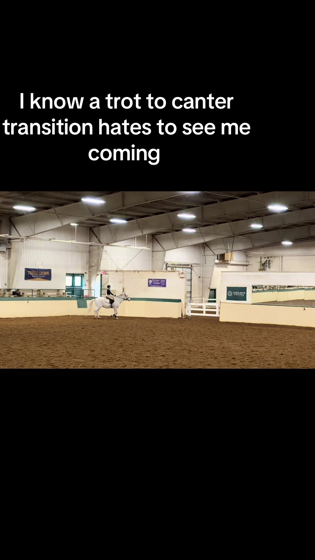 @🌻Kaitlyn C. Dudycz🐴