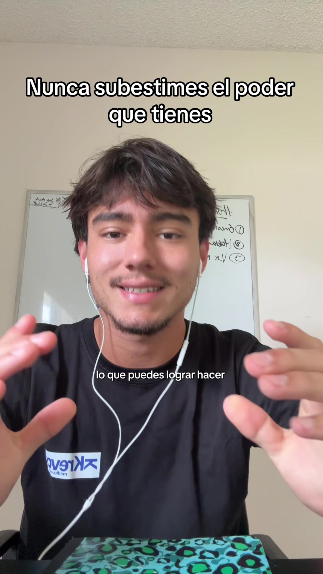 @mendiolaenusa