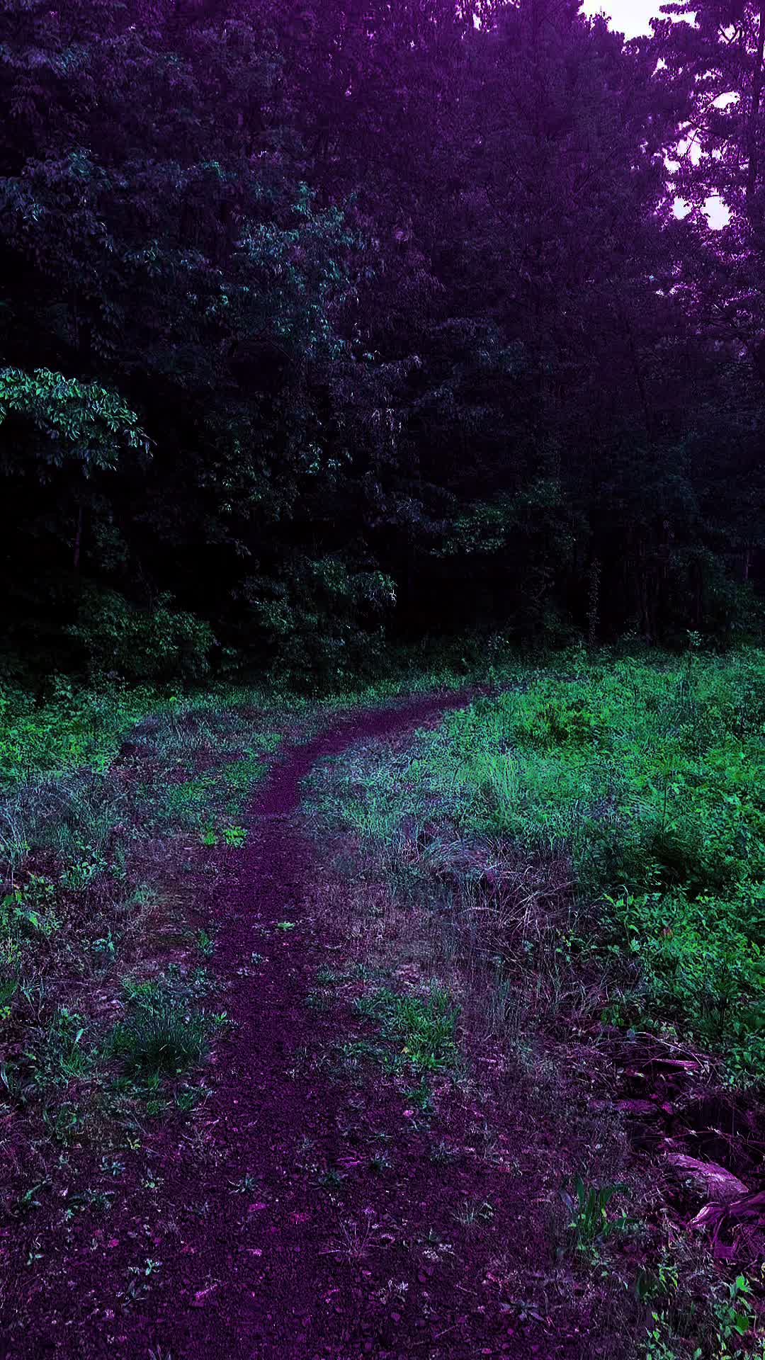 @DarkSpaces