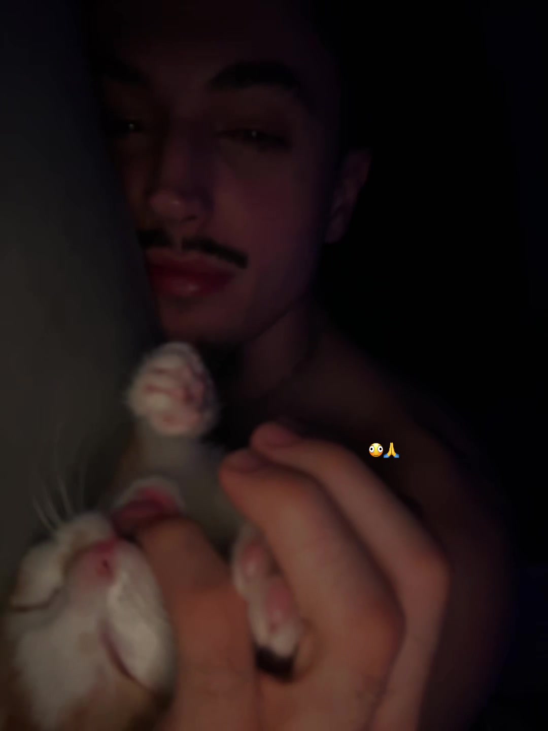 @vxo.cj