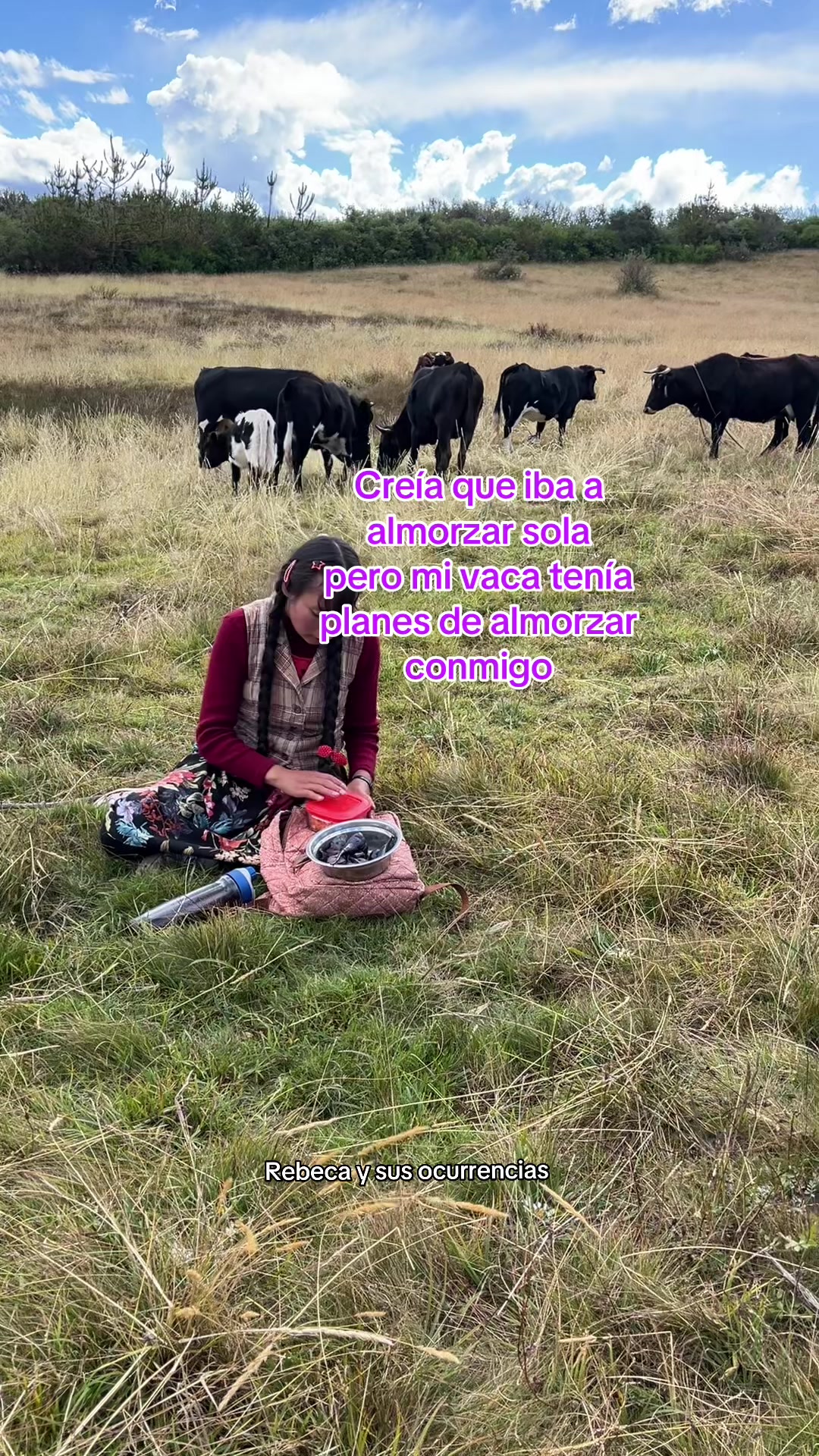 @🐈Rebeca y sus ocurrencias