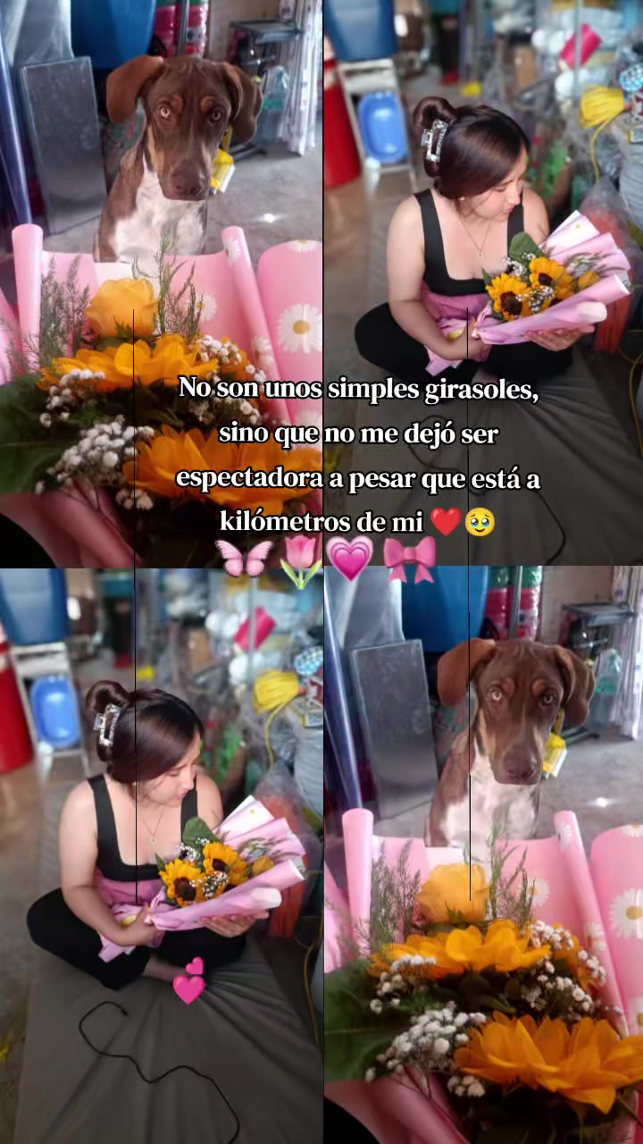 @ℒ𝒾𝓁𝒾 🩷🐭