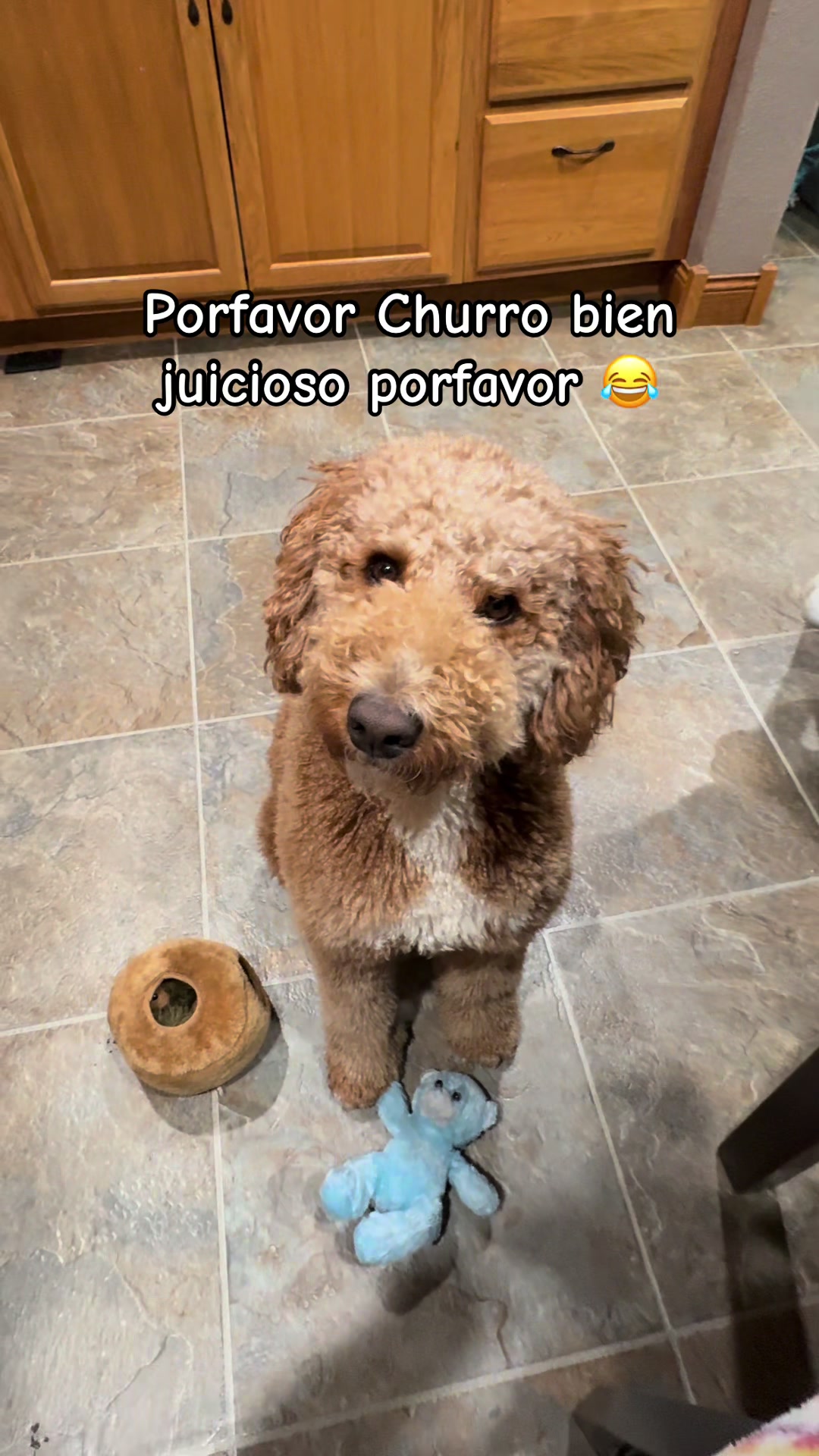 @Reyna y Churro 🐶😍