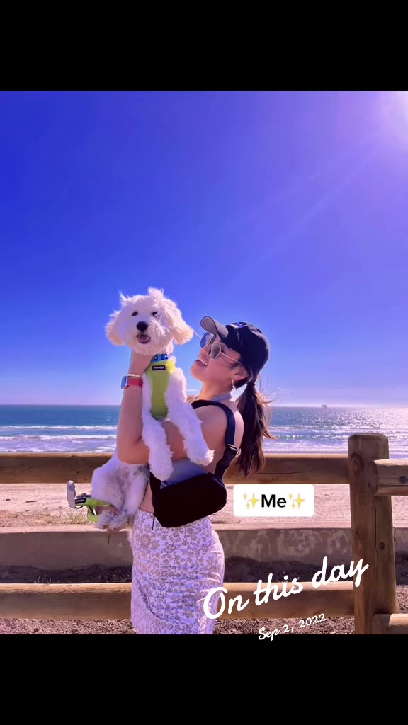 @MICHELLE KAMBOJ