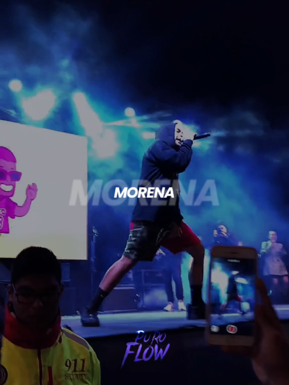 @puro0flow