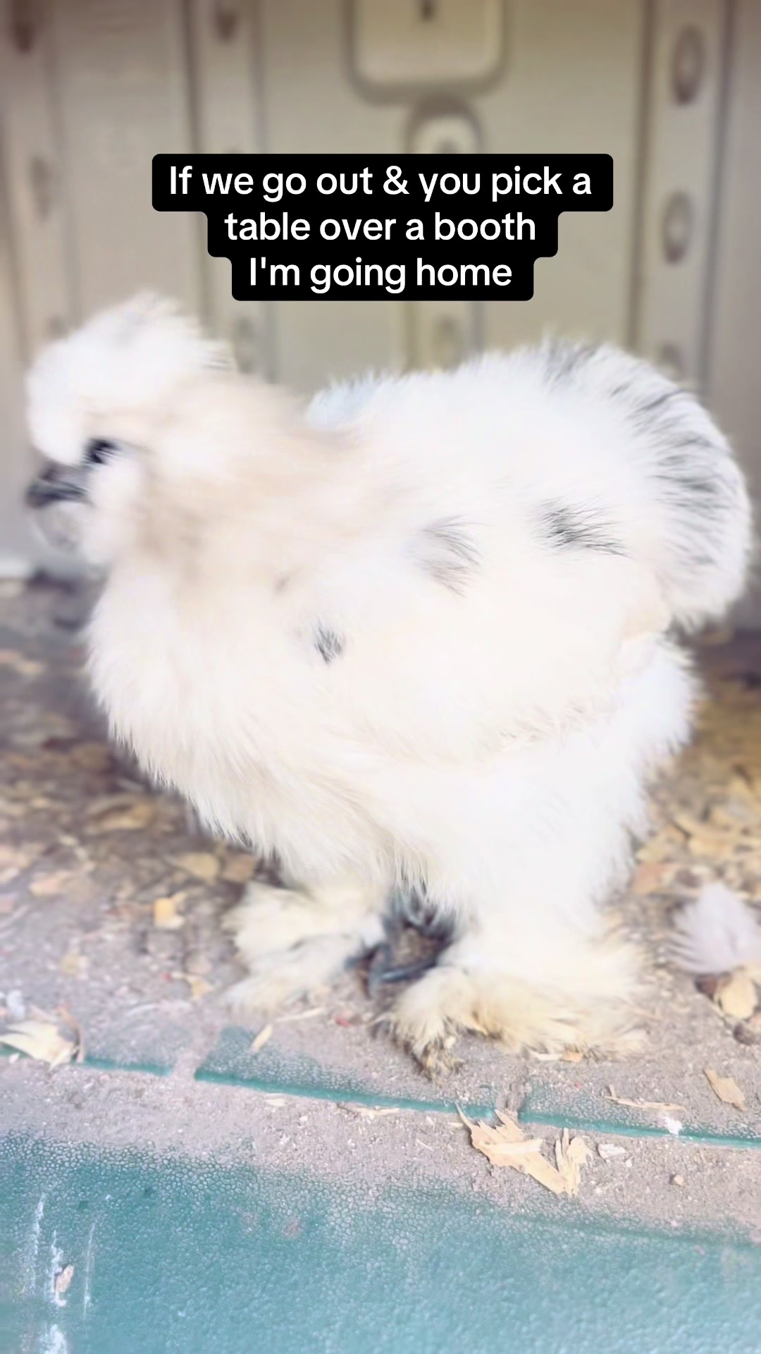 @Elaine