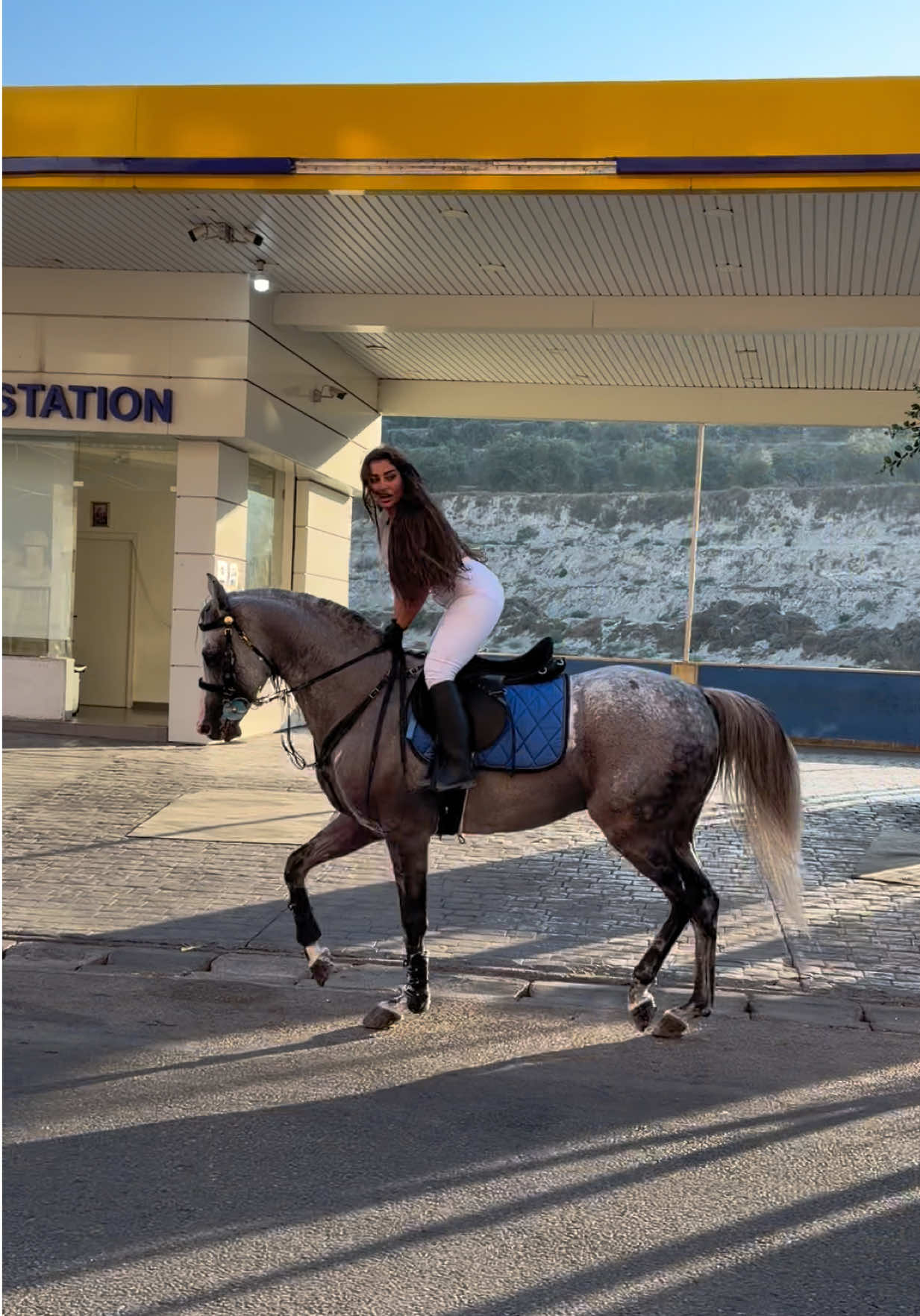 @لــيــن🐎