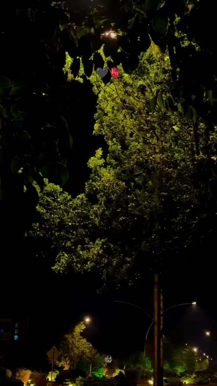@B7F乛حسيب