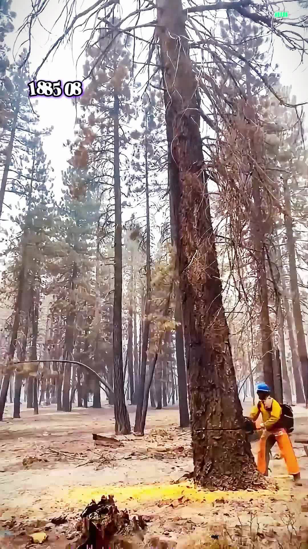 @stories.gary59