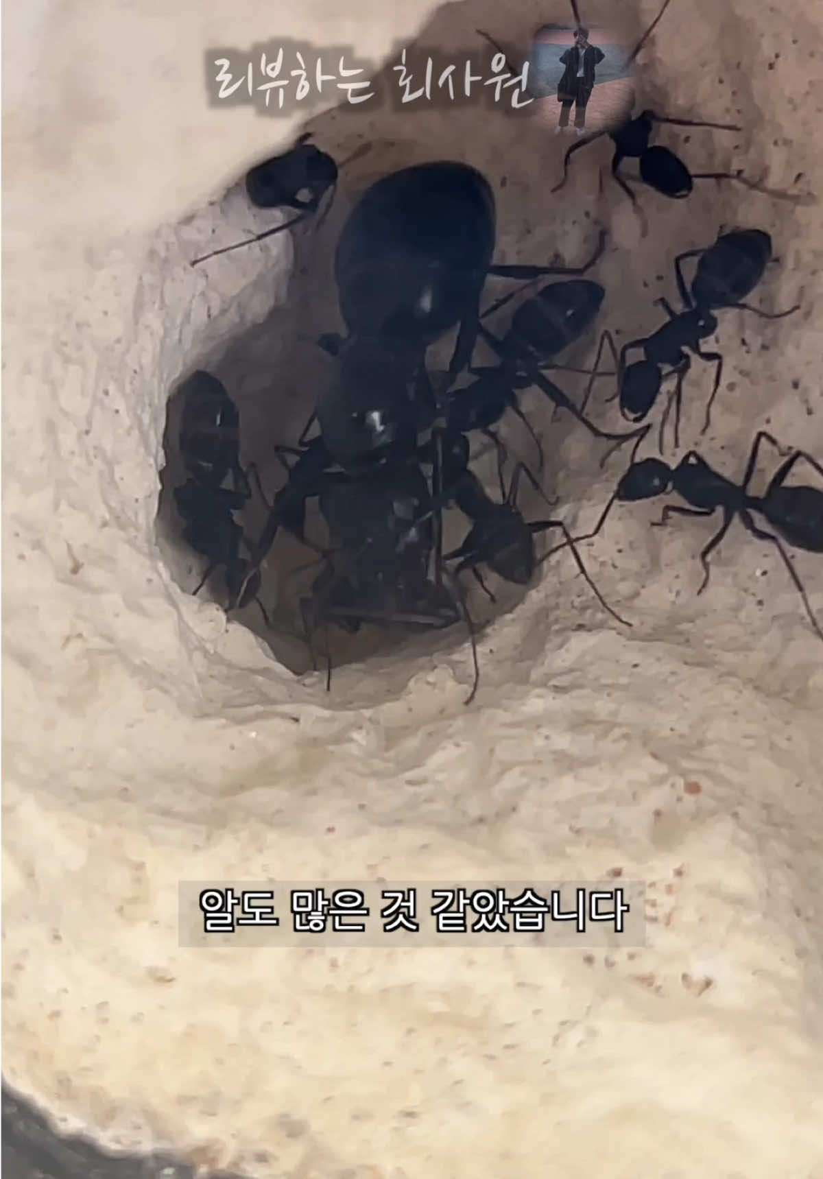 @리뷰하는회사원