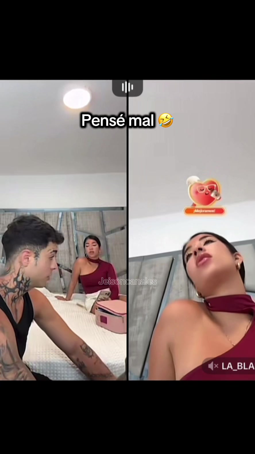 @Jeison Canales🐧🦜🐯🐢