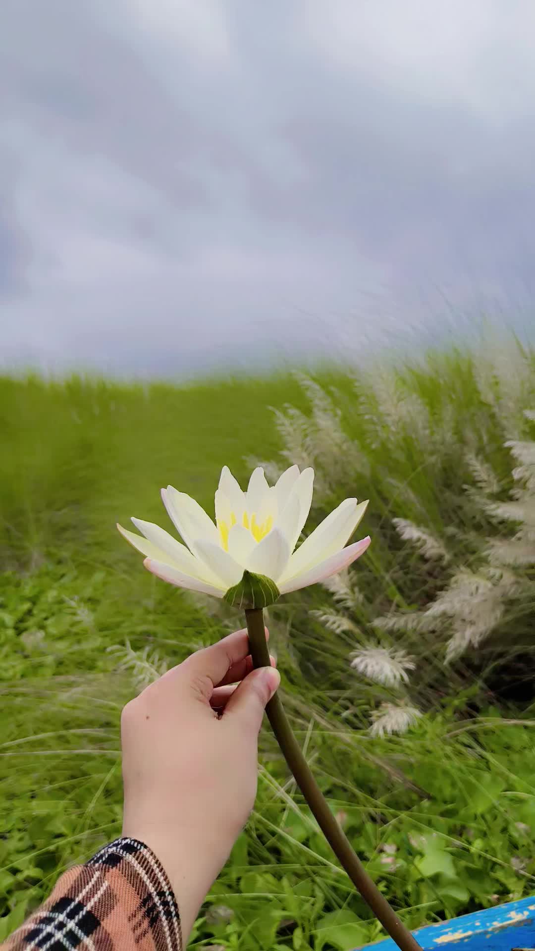 @borshakhan040