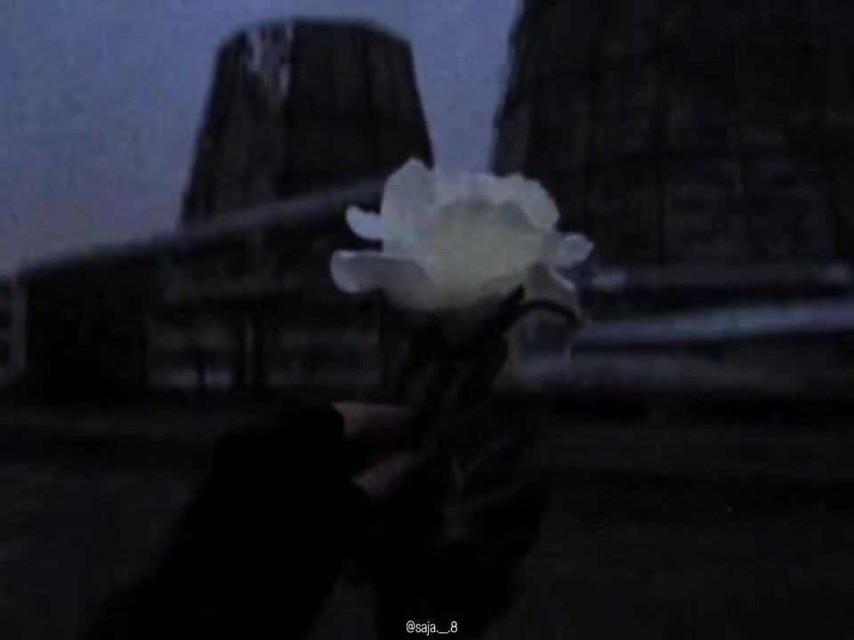 @๐ฉ๐ข๐ช