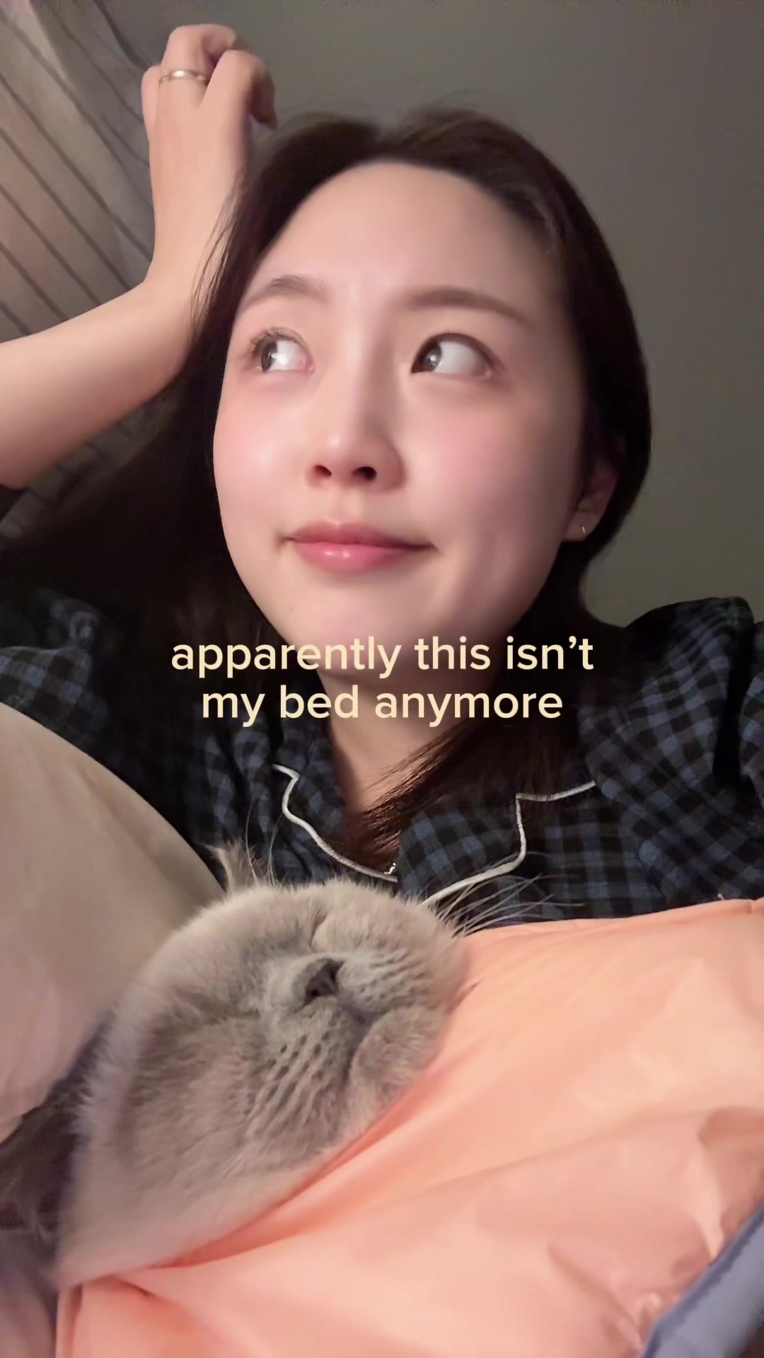 @soggogi
