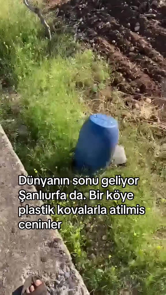 @𝒥𝒾𝓎𝒶𝓃𓆩♡𓆪