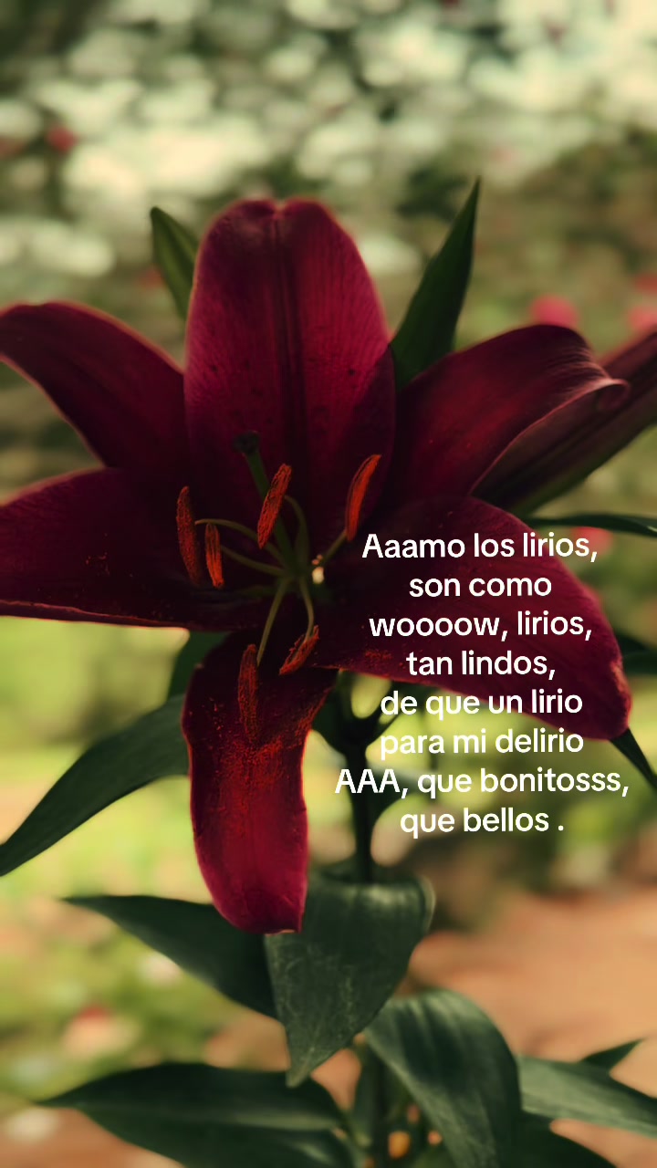 @🦋Valery🍒🌷