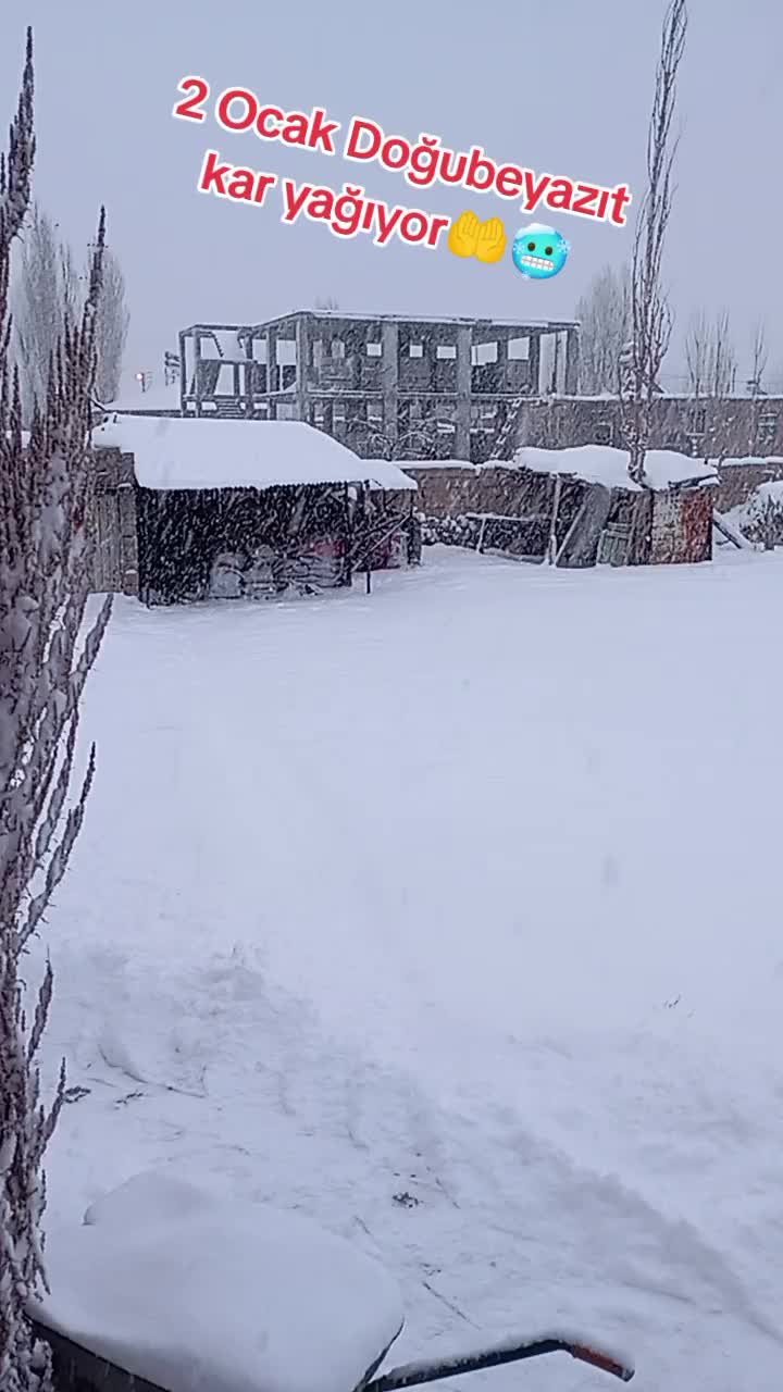 @bazidli adem04