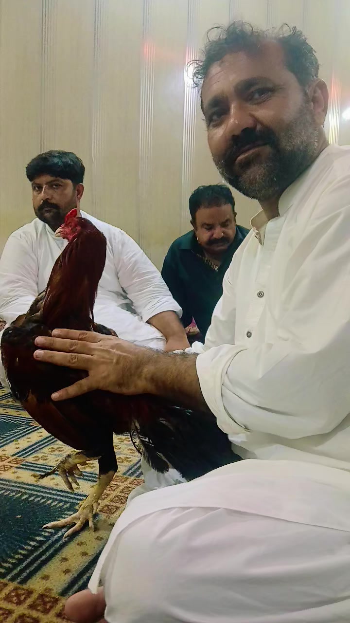 @عمران _خان_ وتہ خیل