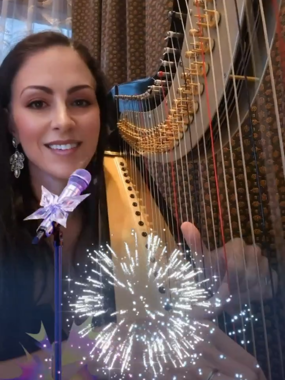 @hillarytheharpist