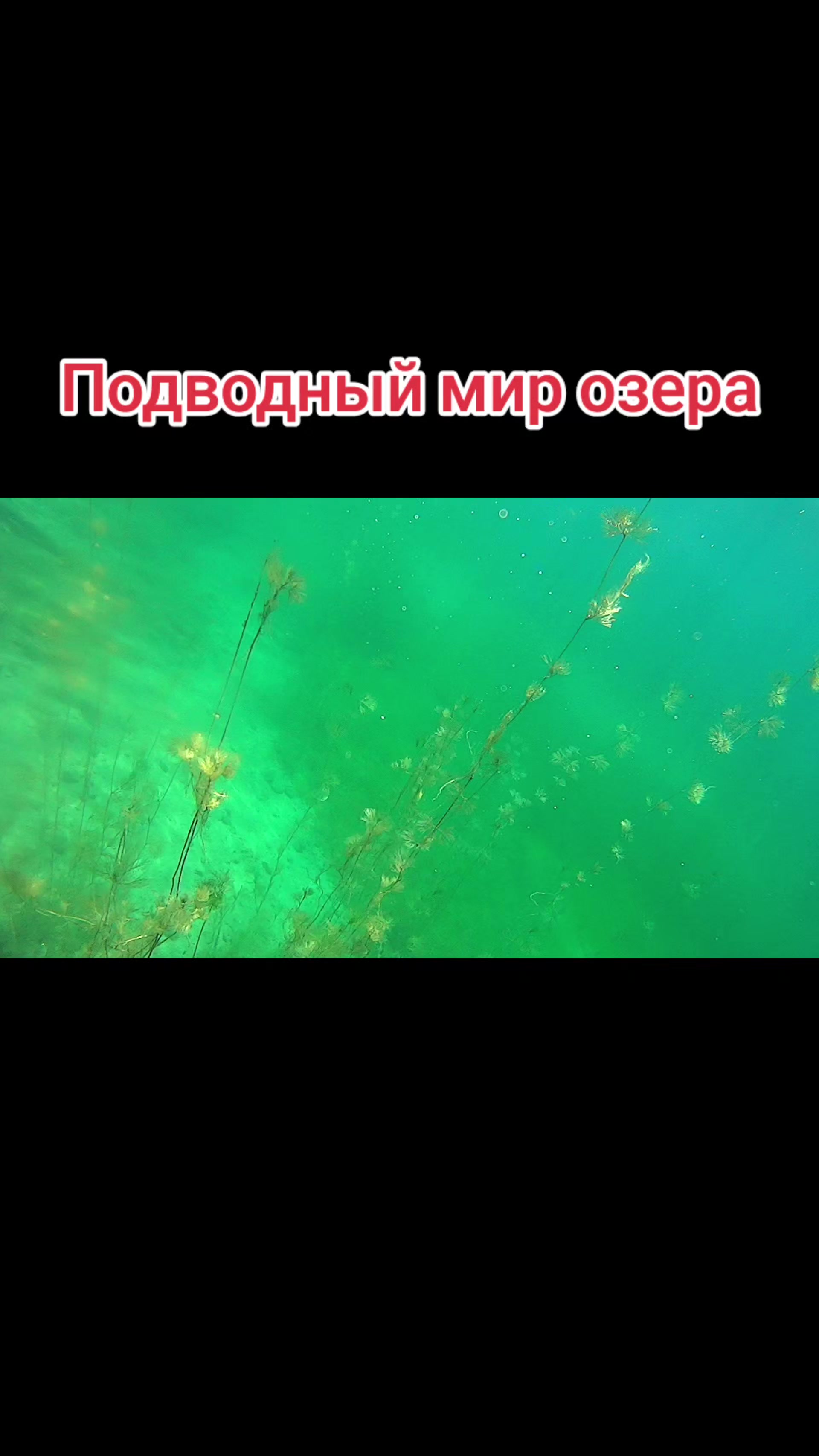 @Danila Master