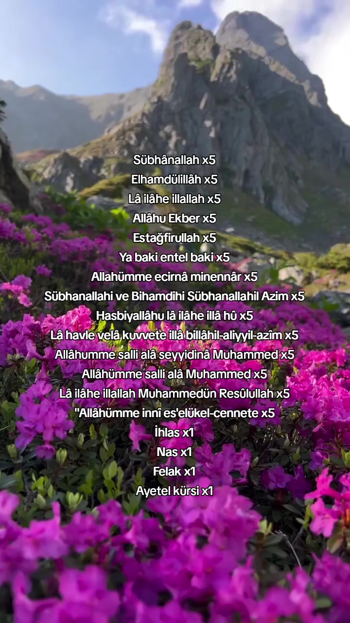 @﷽Mümin🇵🇸