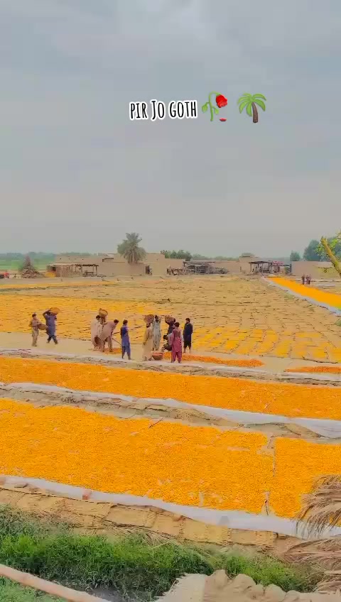 @FARMAN KANHAR 💙💫☑️
