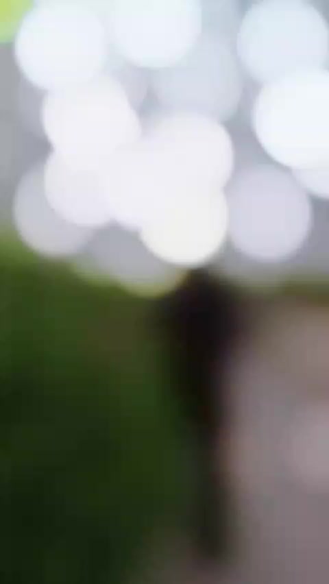@ananyatharu8