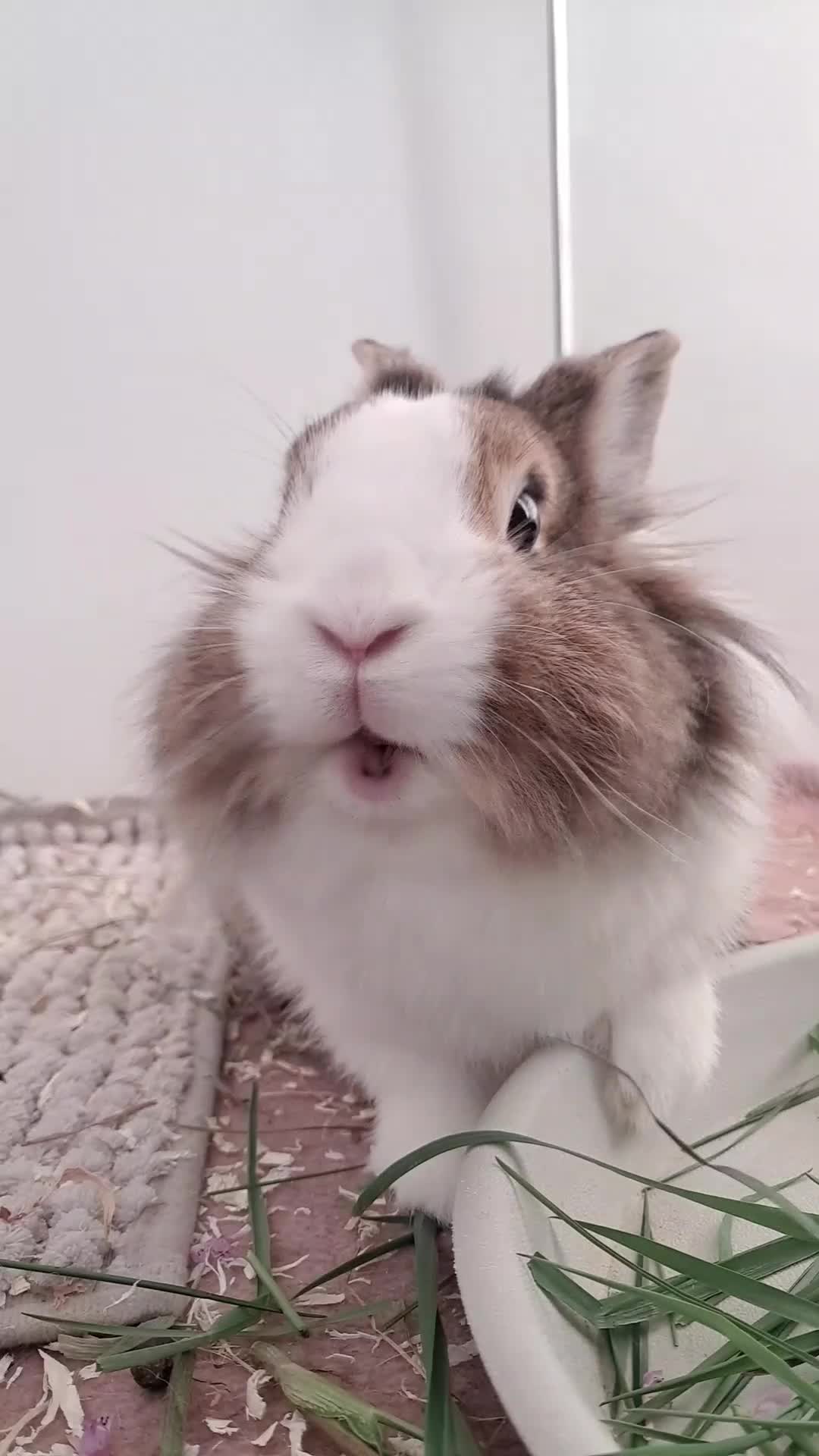 @<3
