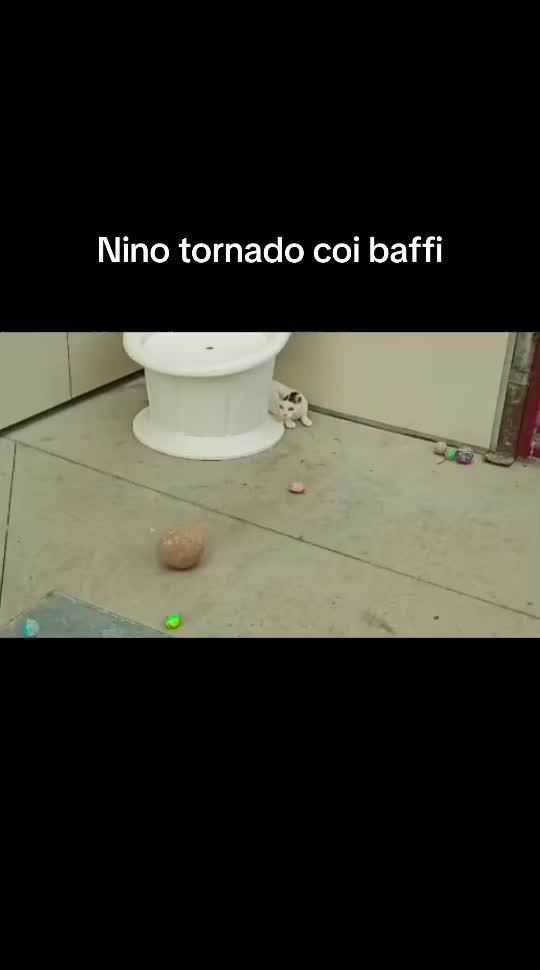 @Rafmain