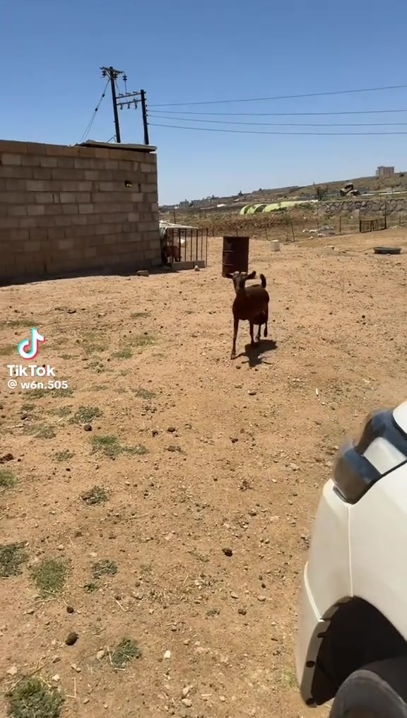 @mohamed_ksa0