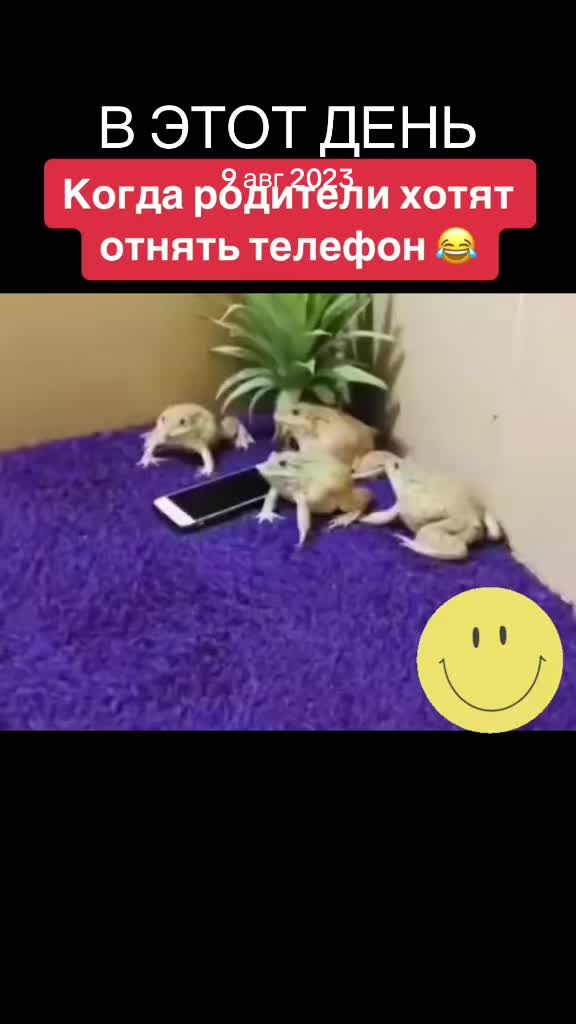 @vitochca1707