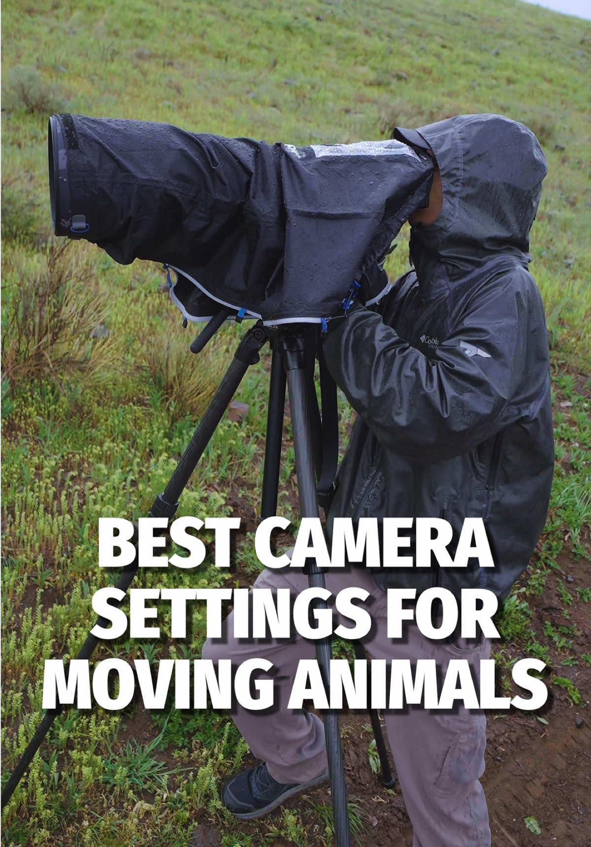 @Adorama