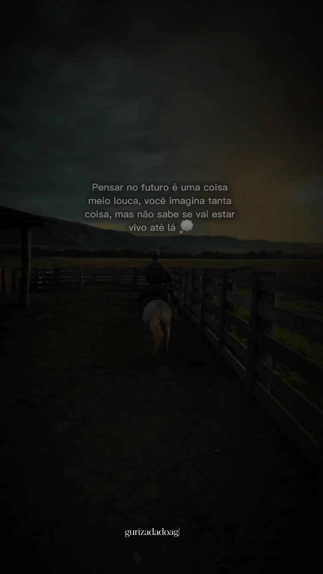 @gurizadadoagro2.0