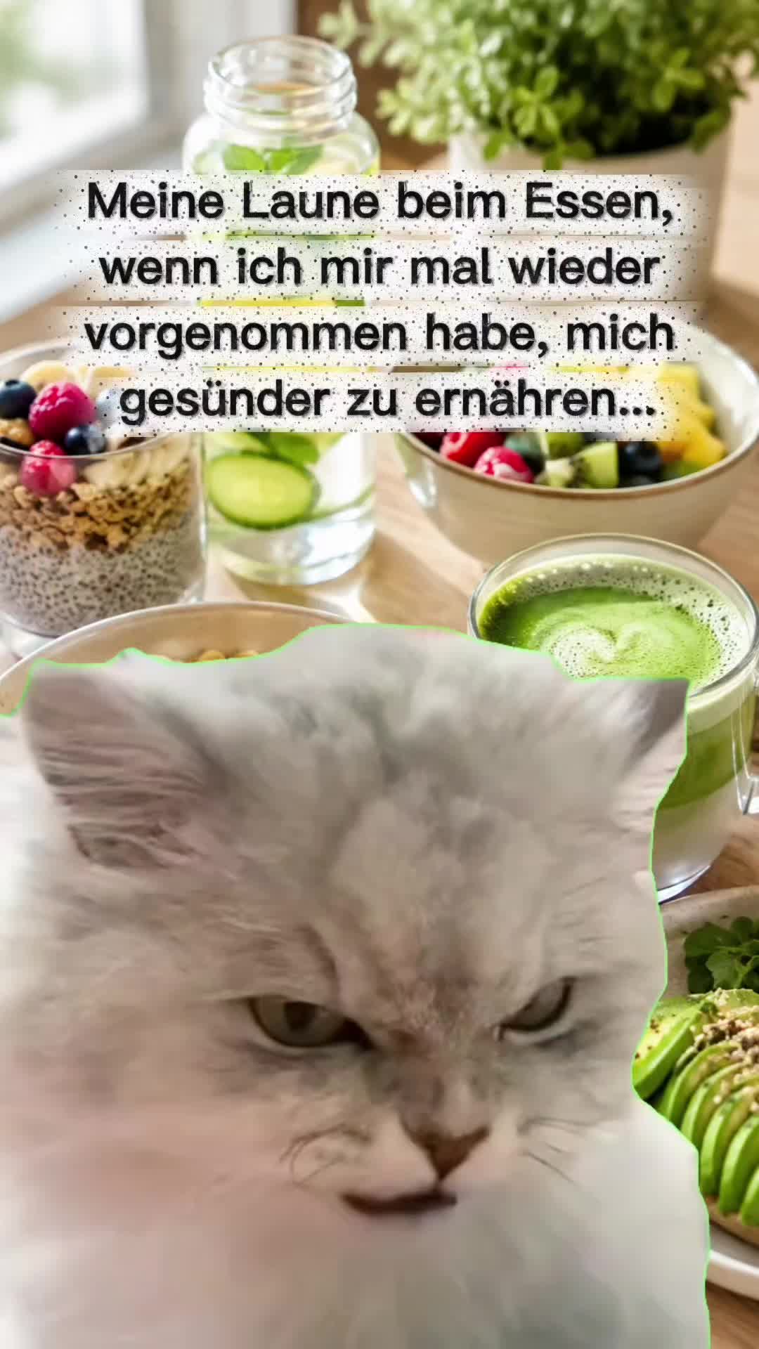 @storfine
